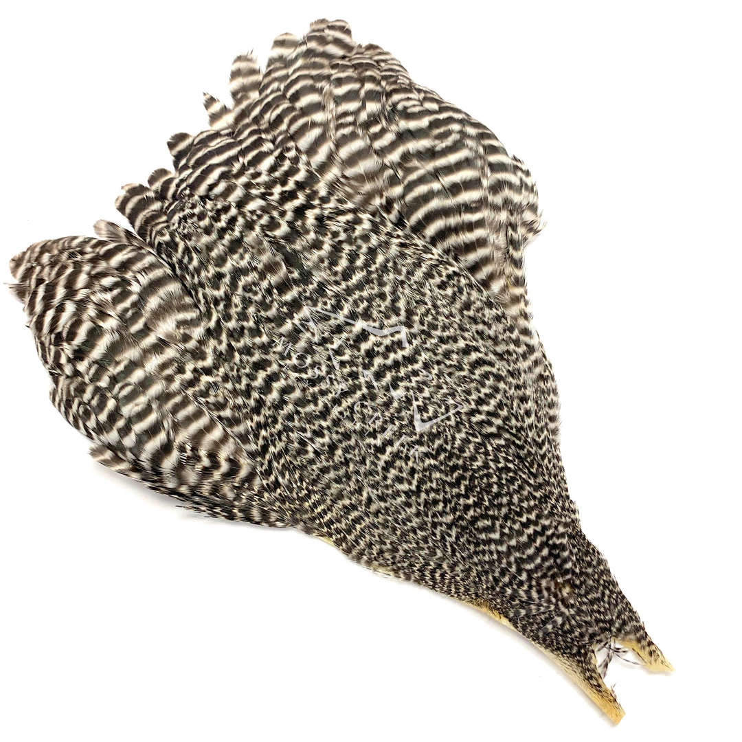 Metz #1 Hen Neck Grizzly 1 Metz #1 Hen Neck Grizzly