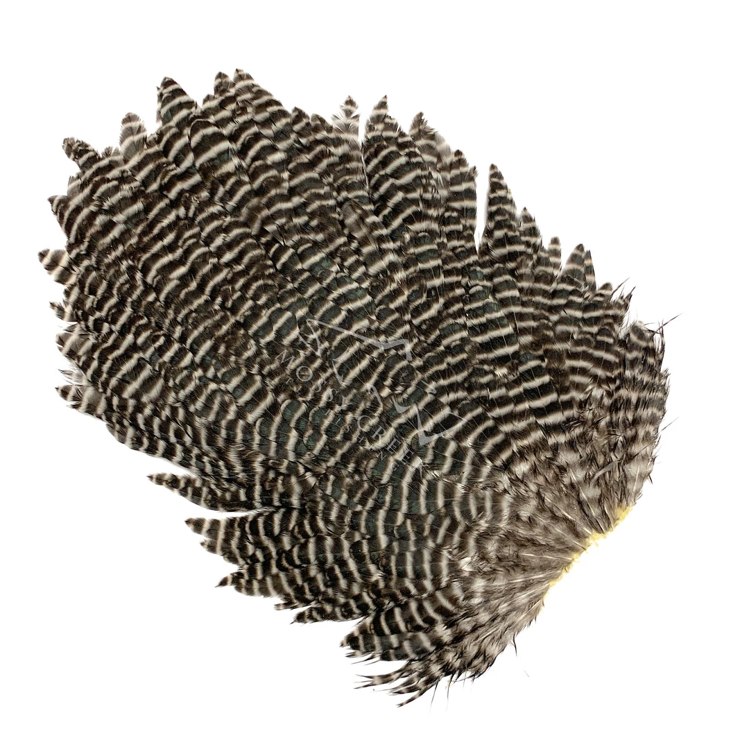 Feathers Metz #1 Hen Saddle Grizzly 1 Feathers Metz #1 Hen Saddle Grizzly