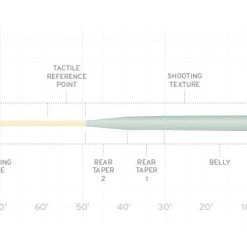 Scientific Anglers SA Amplitude Infinity Salt Fly Line Fly Lines