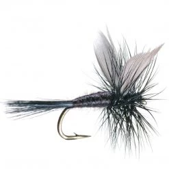 Umpqua Feather Merchants Black Gnat Flies