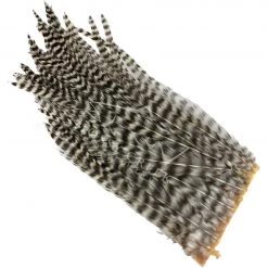 Hareline Bugger Hackle Patches Feathers
