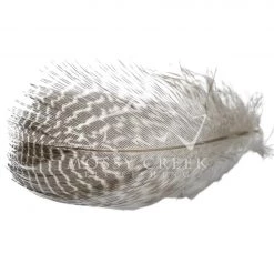 Hareline Gadwall Feathers