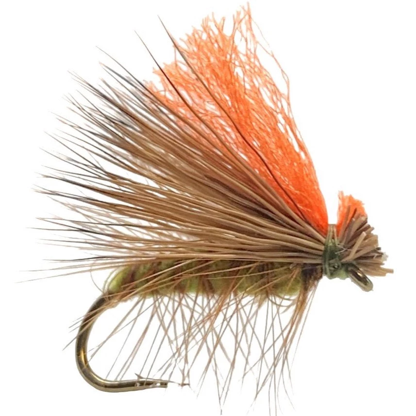 Umpqua Feather Merchants Flies Hot Wing Caddis Olive 1 Umpqua Feather Merchants Flies Hot Wing Caddis Olive