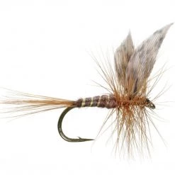 Umpqua Feather Merchants Flies March Brown