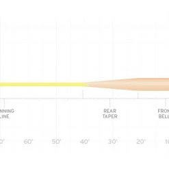 Scientific Anglers SA SONAR Grand Slam Clear Tip Fly Line