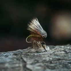 Tiemco TMC 100 Dry Fly Hook 25 Pack Hooks 5 Tiemco TMC 100 Dry Fly Hook 25 Pack Hooks