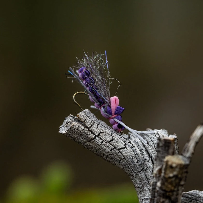 Tiemco TMC 200R Nymph Hook 25 Pack 4 Tiemco TMC 200R Nymph Hook 25 Pack