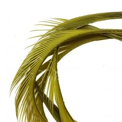 Wapsi Fly Goose Biots