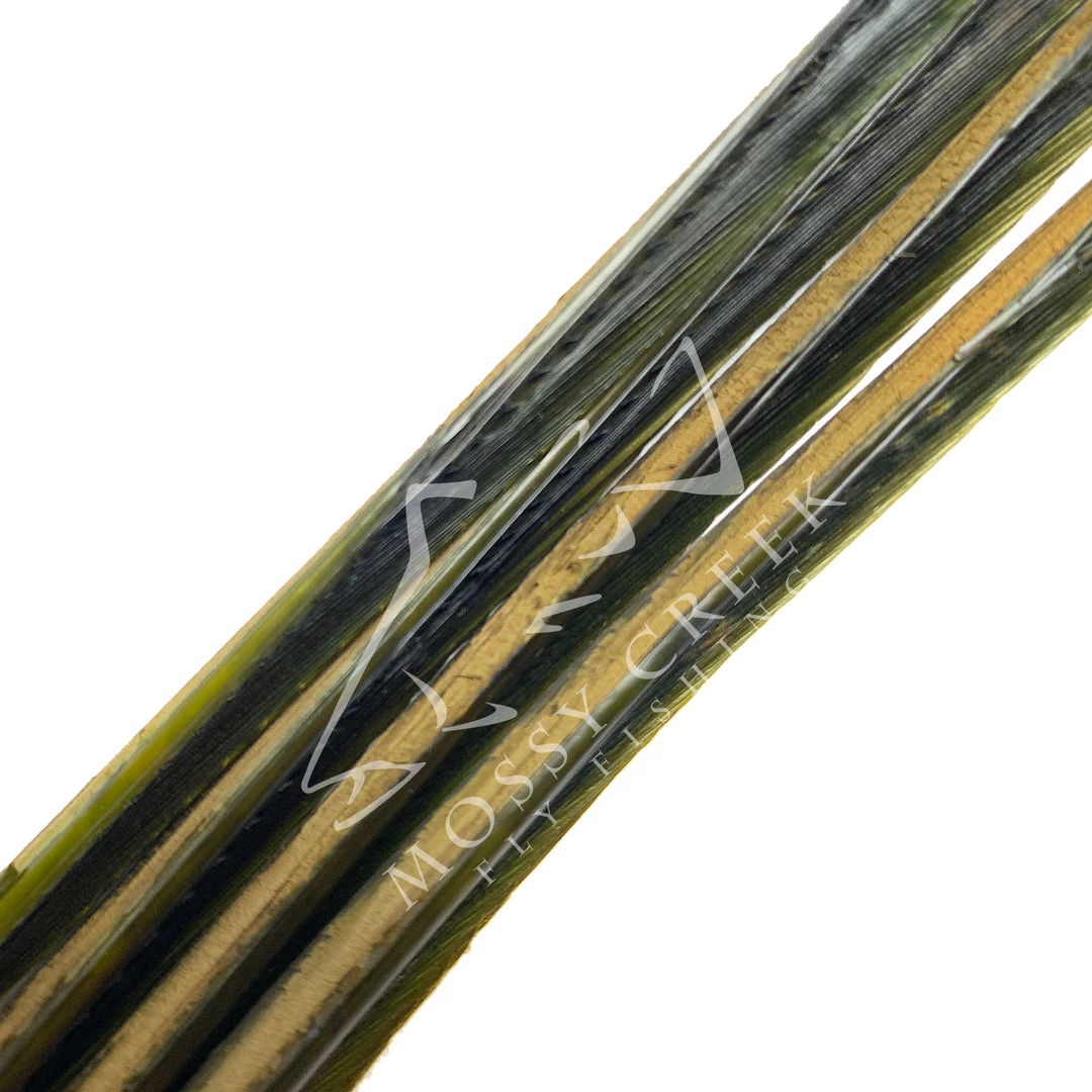 Wapsi Fly Feathers Turkey Biots 8 Wapsi Fly Feathers Turkey Biots