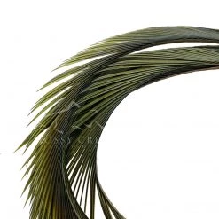 Wapsi Fly Goose Biots