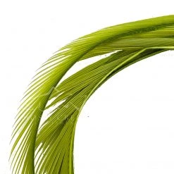 Wapsi Fly Goose Biots