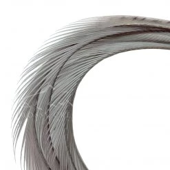 Wapsi Fly Goose Biots