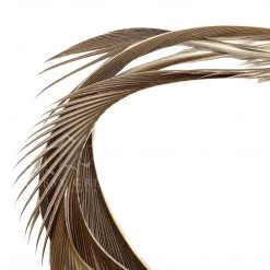 Wapsi Fly Goose Biots