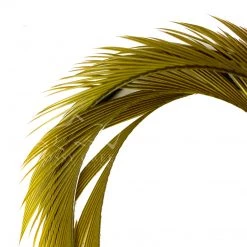 Wapsi Fly Goose Biots