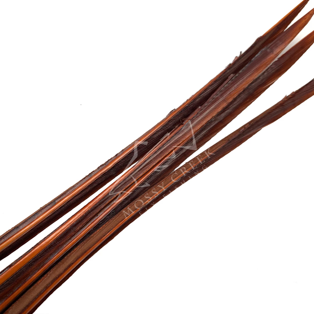 Wapsi Fly Feathers Turkey Biots 4 Wapsi Fly Feathers Turkey Biots