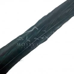 Wapsi Fly Ringneck Pheasant Tail Feathers 12 Wapsi Fly Ringneck Pheasant Tail Feathers