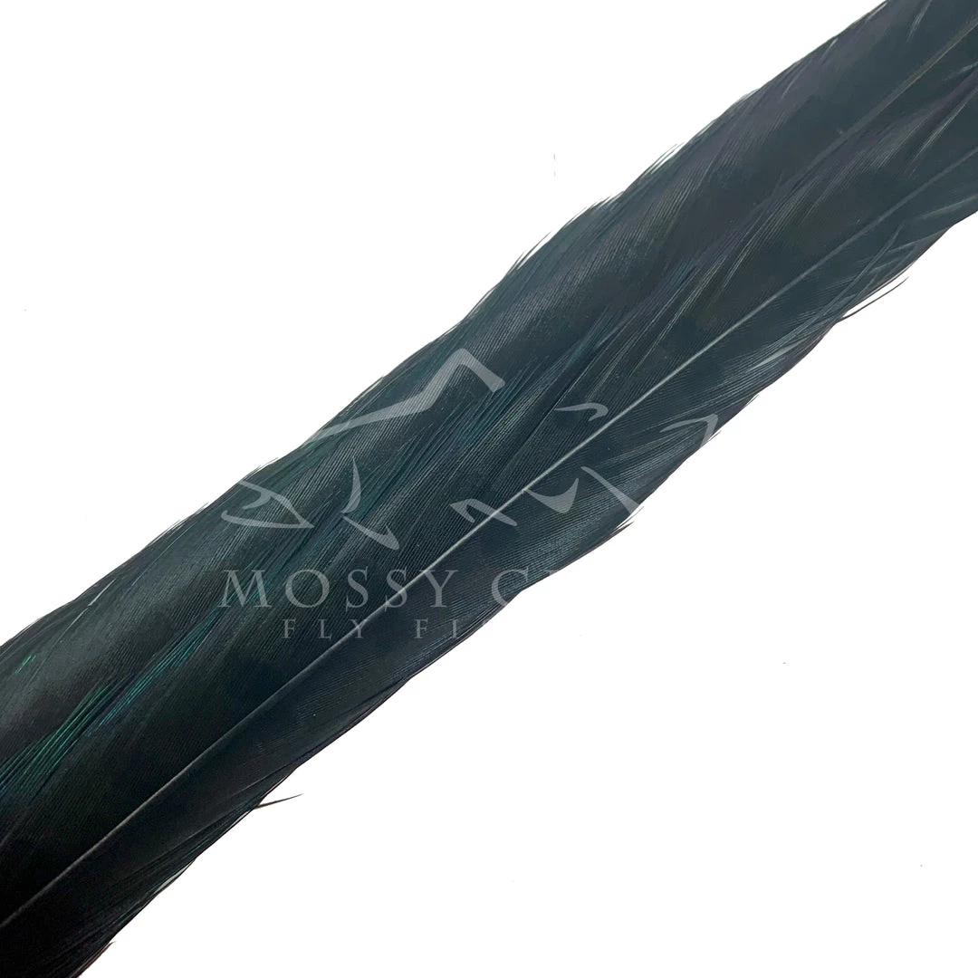 Wapsi Fly Ringneck Pheasant Tail Feathers 3 Wapsi Fly Ringneck Pheasant Tail Feathers