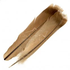 Wapsi Fly Ozark Turkey Tail Feathers