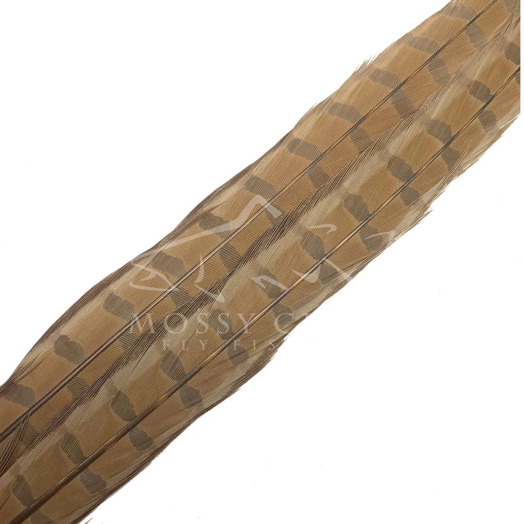 Wapsi Fly Ringneck Pheasant Tail Feathers 9 Wapsi Fly Ringneck Pheasant Tail Feathers