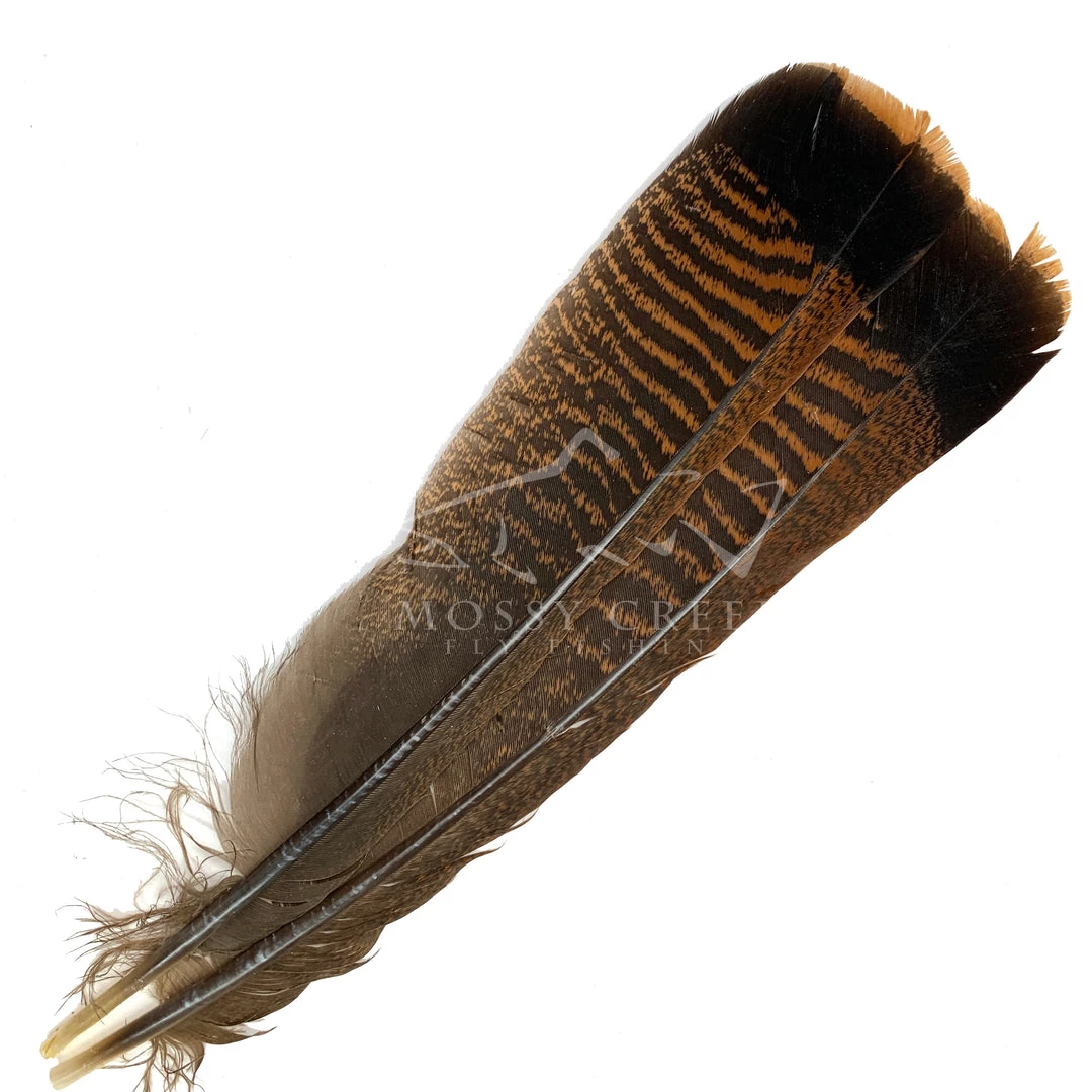 Wapsi Fly Ozark Turkey Tail Feathers 1 Wapsi Fly Ozark Turkey Tail Feathers