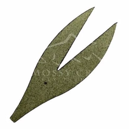 Eastern Trophies Ck Clawdad Claw Tails Synthetics 7 Eastern Trophies Ck Clawdad Claw Tails Synthetics