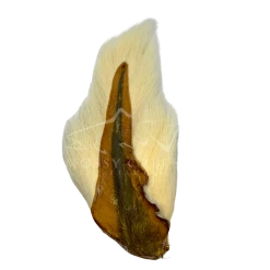 Wapsi Fly Hair & Fur Bucktail