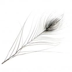 Hareline Stripped Peacock Eyes Feathers