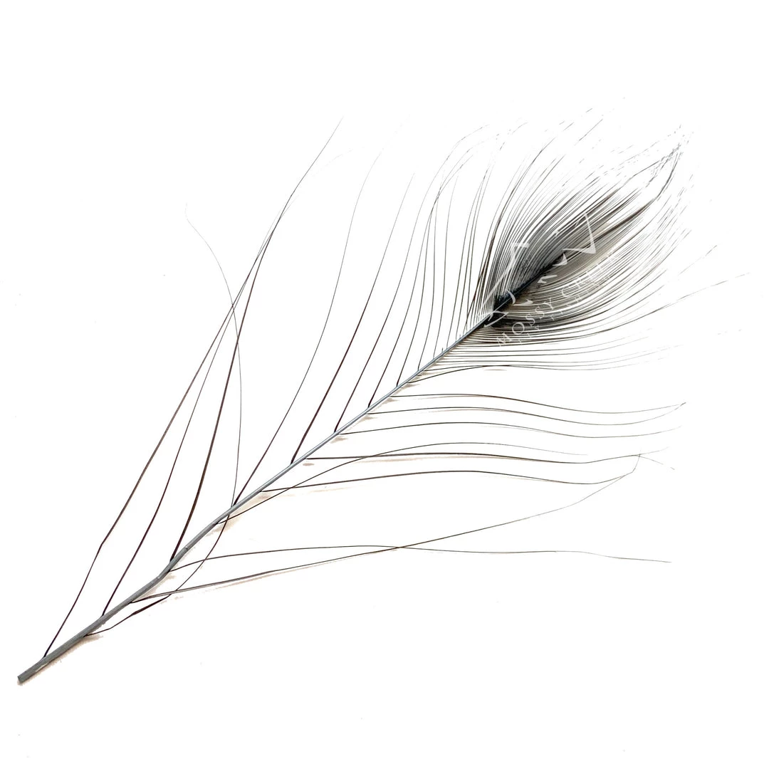 Hareline Stripped Peacock Eyes Feathers 2 Hareline Stripped Peacock Eyes Feathers