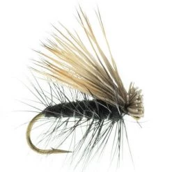 Umpqua Feather Merchants Elk Hair Caddis Black