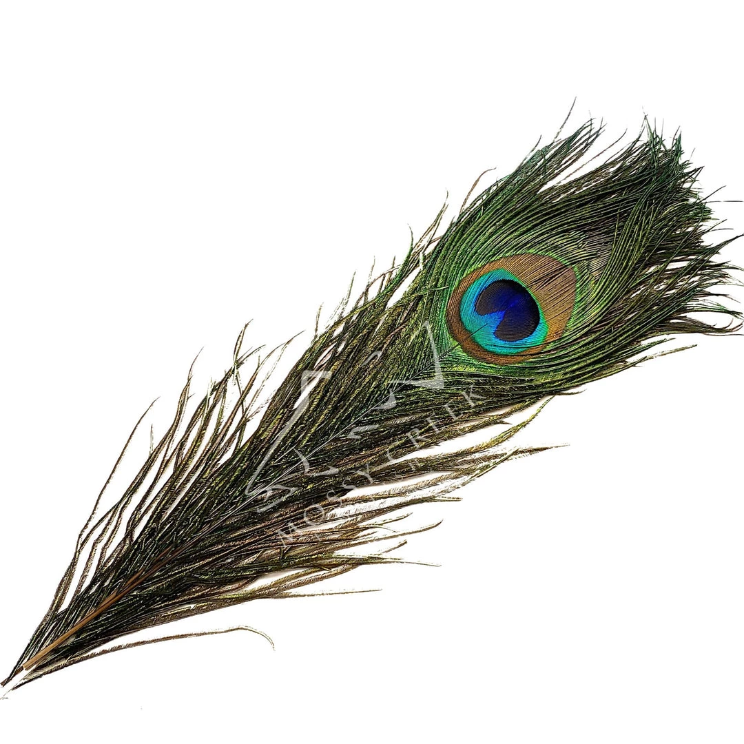 Hareline Peacock Eyes 1 Hareline Peacock Eyes