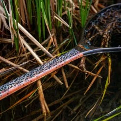 Limited Edition Fishpond Nomad Mid-Length Net Brown Trout - Slab Nets