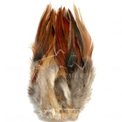Wapsi Fly Feathers Strung Rooster Saddle Hackle