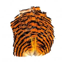 Wapsi Fly Golden Pheasant Tippet Section