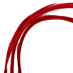 Wapsi Fly Goose Biots