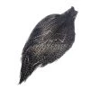 Hareline Keough Tyer's Grade Cape Grizzly Dun Feathers