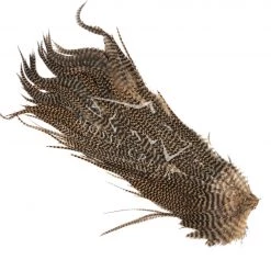 Hareline Feathers Half Grizzly Saddle 18 Hareline Feathers Half Grizzly Saddle