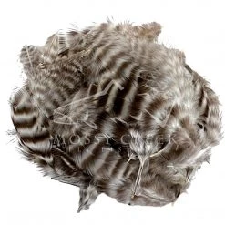 Wapsi Fly Grizzly Matuka Soft Hackle