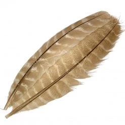 Wapsi Fly Feathers Ozark Turkey Quill Barred