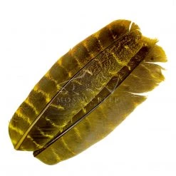Wapsi Fly Feathers Ozark Turkey Quill Barred