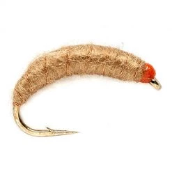 Fulling Mill Killer Bug Flies