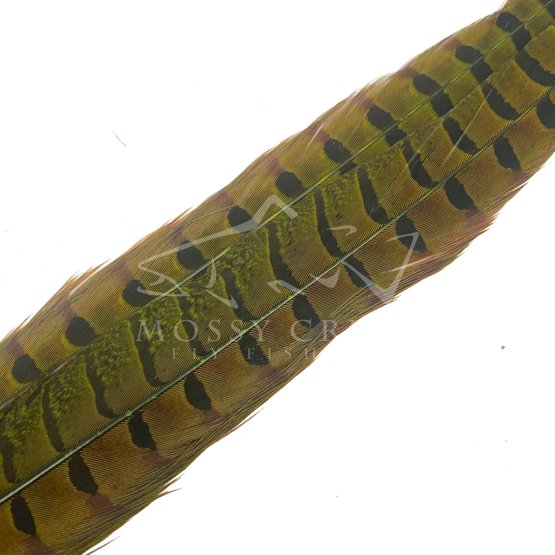 Wapsi Fly Ringneck Pheasant Tail Feathers 4 Wapsi Fly Ringneck Pheasant Tail Feathers