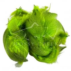 Wapsi Fly Feathers Mallard Barred Flank