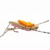 Umpqua Feather Merchants Flies Foam Hopper Pink