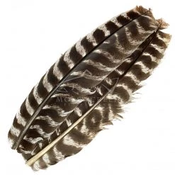 Wapsi Fly Feathers Ozark Turkey Quill Barred