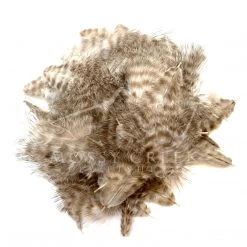 Wapsi Fly Grizzly Marabou