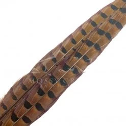 Wapsi Fly Ringneck Pheasant Tail Feathers