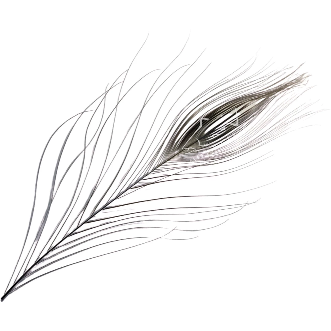 Hareline Stripped Peacock Eyes Feathers 6 Hareline Stripped Peacock Eyes Feathers