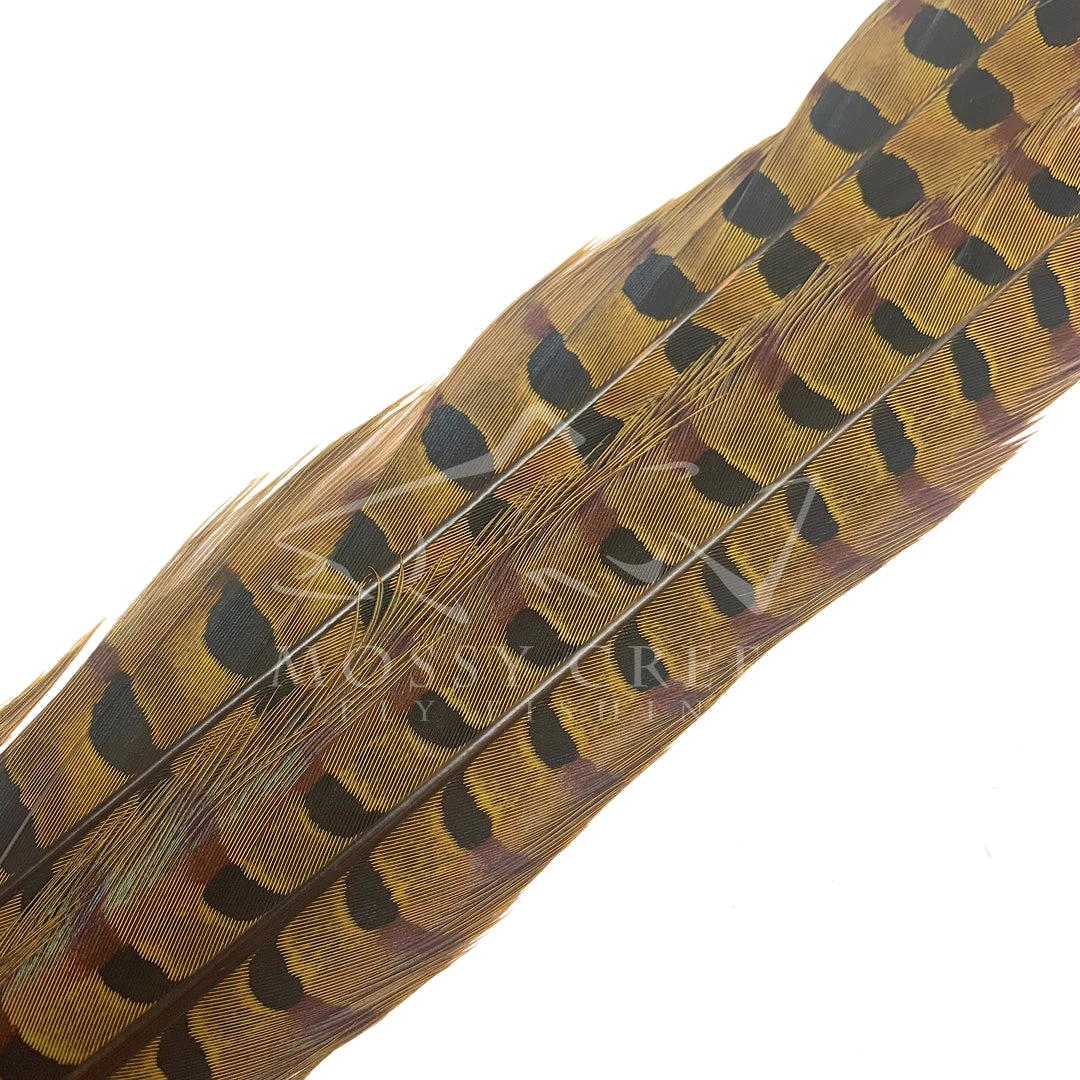 Wapsi Fly Ringneck Pheasant Tail Feathers 2 Wapsi Fly Ringneck Pheasant Tail Feathers