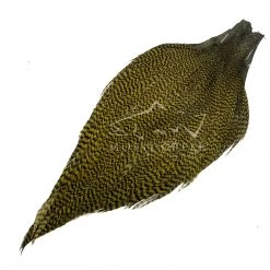 Hareline Feathers Keough Tyer's Grade Cape Grizzly Olive
