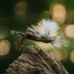 Hooks Tiemco TMC 5212 Dry Fly Hook 25 Pack 5 Hooks Tiemco TMC 5212 Dry Fly Hook 25 Pack